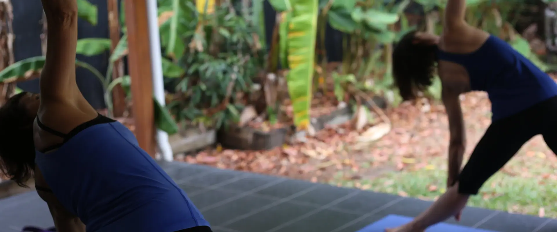 Palm Cove Yoga