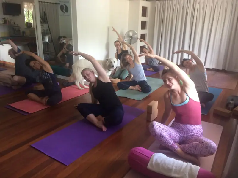 Falling Leaf Yoga and Massage
