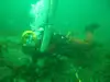Advanced Subsea Services