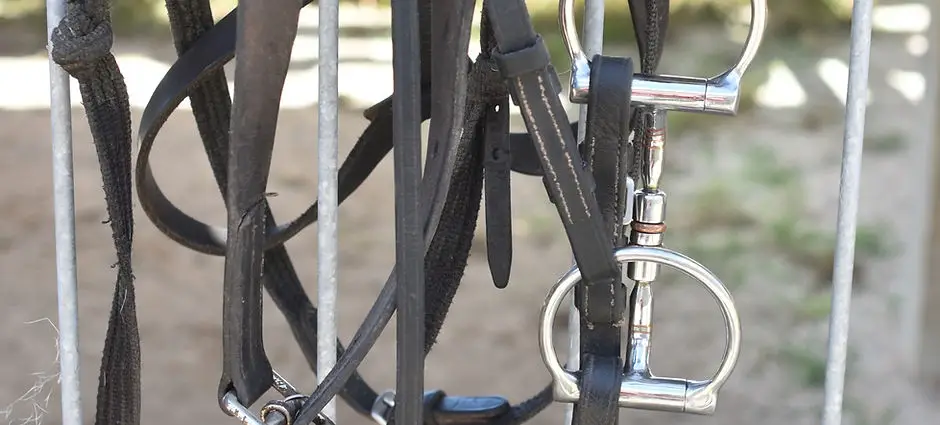 EquiSucceed NZ