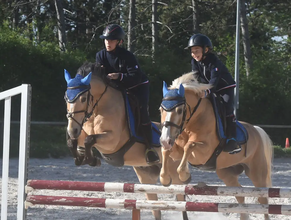Les Ecuries De Jam