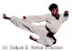 Punjab Taekwondo Association