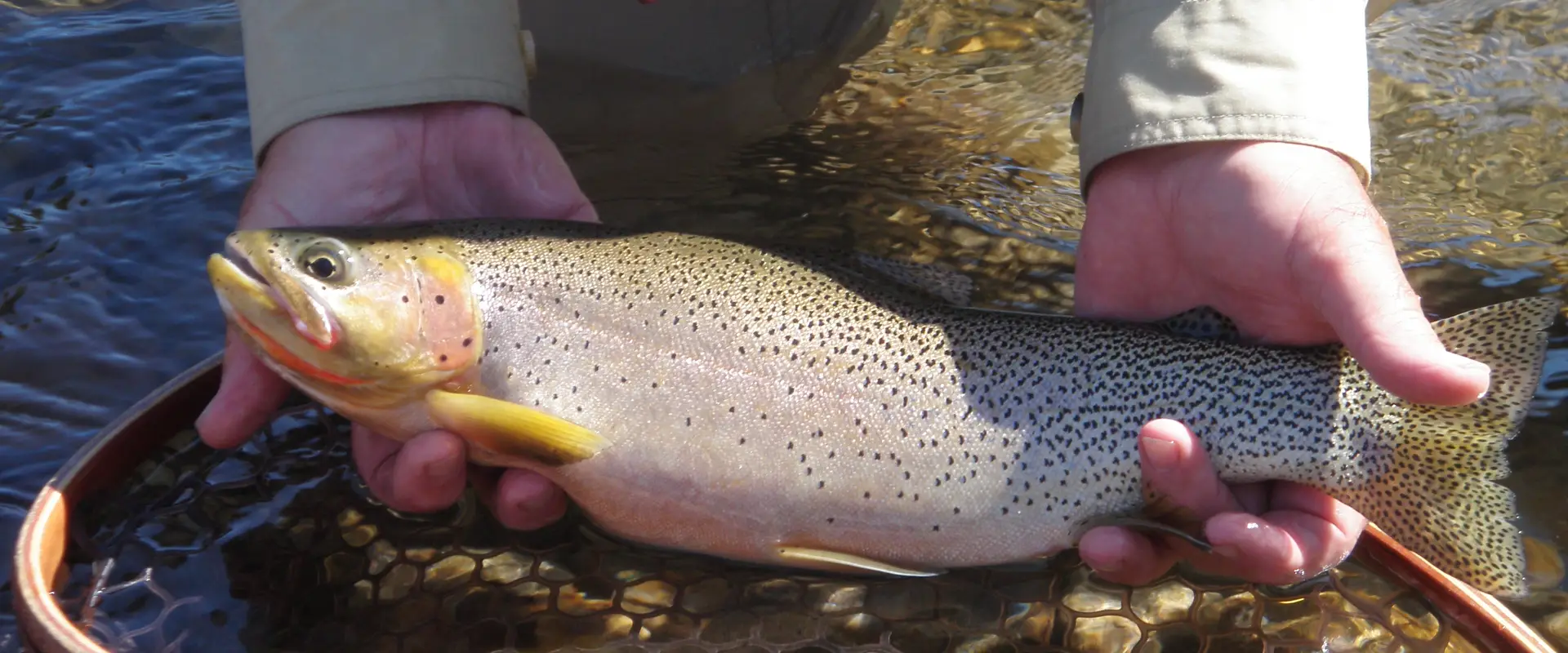 Ultimate West Flyfishing