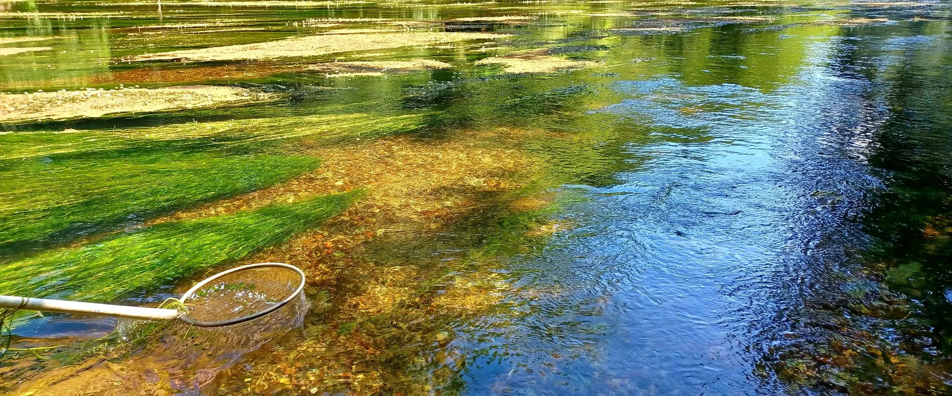 Fédération de Pêche du Loiret