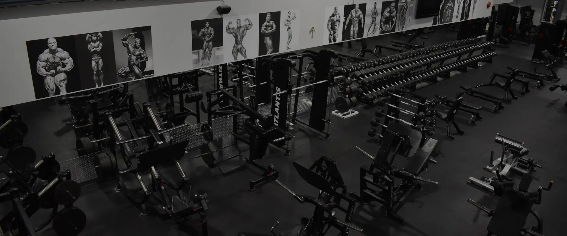 Total Fitness