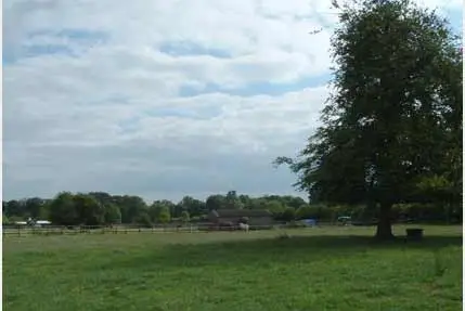 Fairview Stables