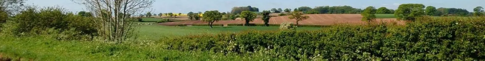 Diss & District Bowls Club