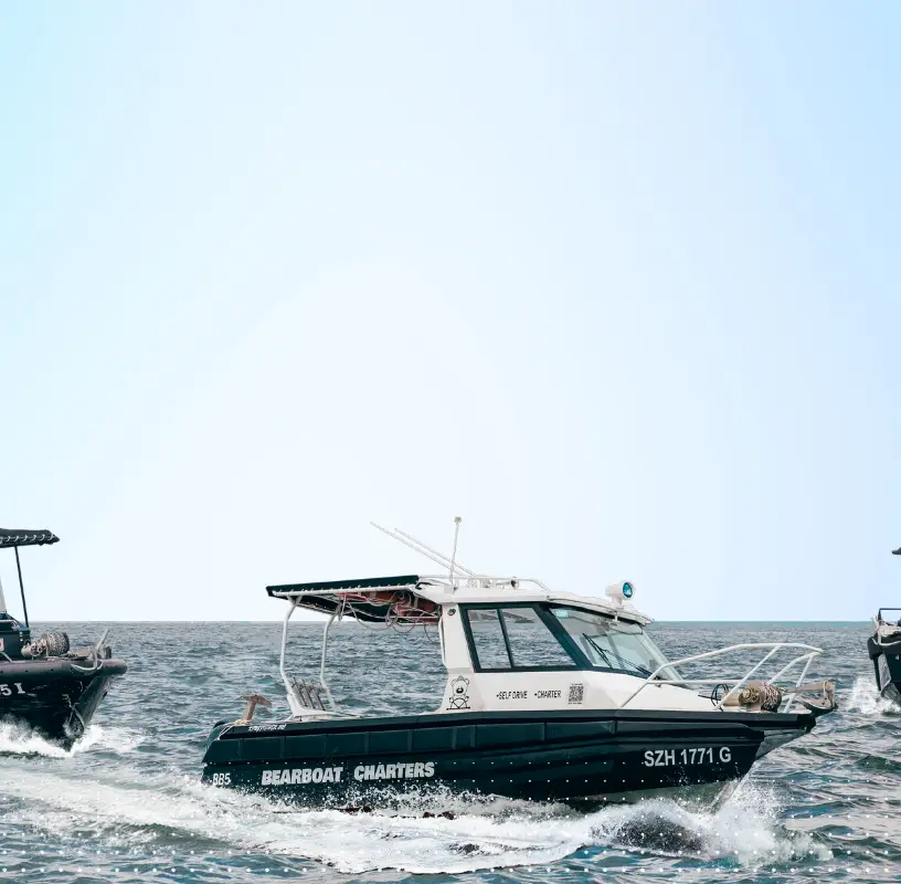BearBoat Charters (self-drive boat rental)