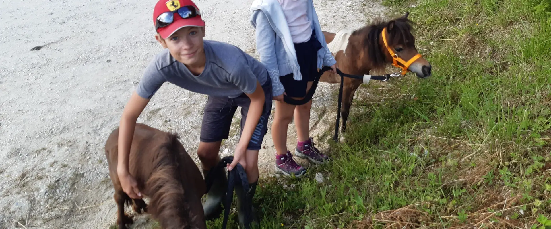 Le Haras Du Vercors