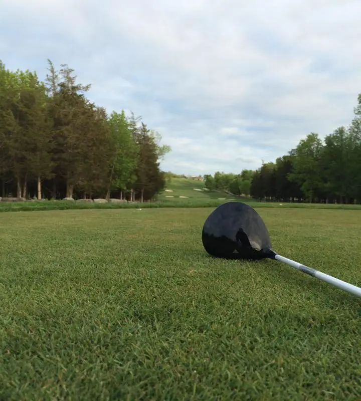 Collingwood Golf Services