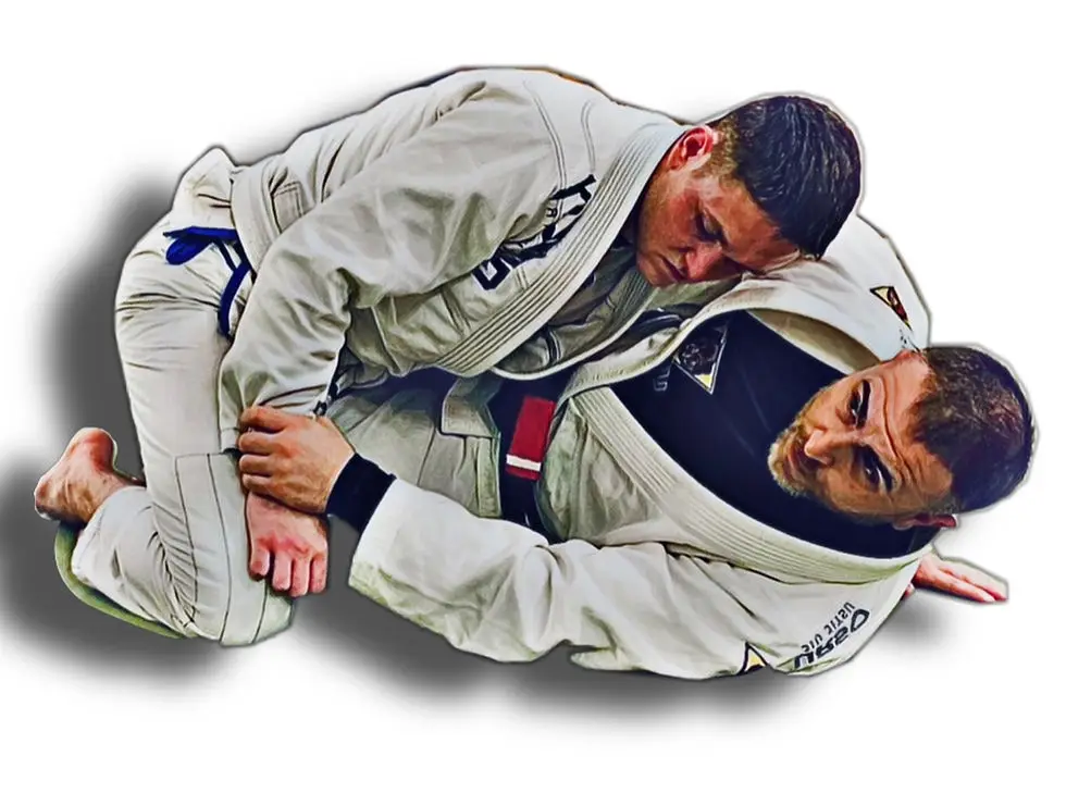 Urso Jiu Jitsu
