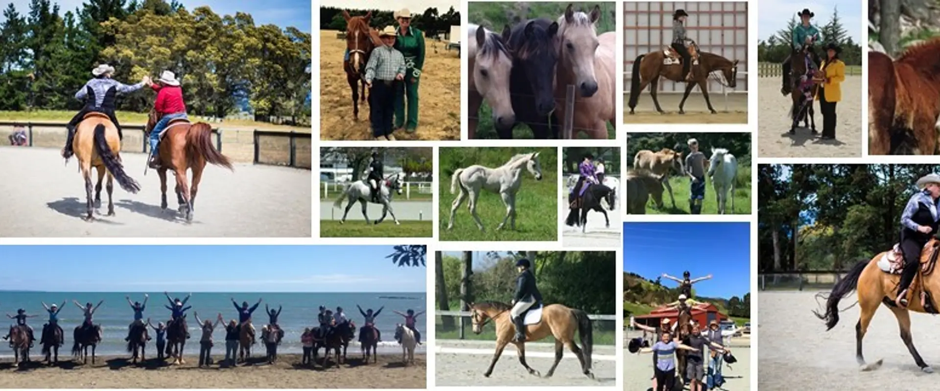 Golden Hills Equestrian Centre