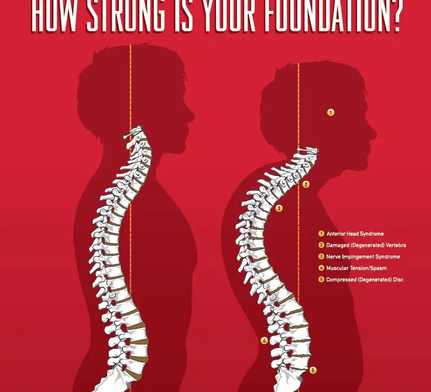 Foundation Neurostructural Chiropractic. Mona Vale