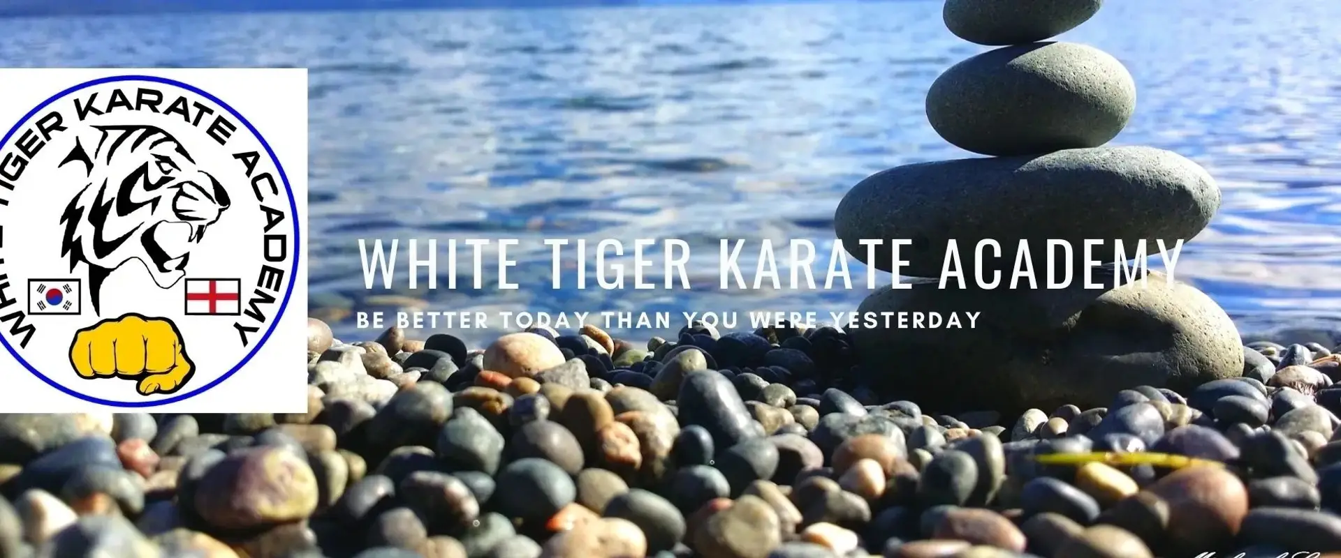 White Tiger Karate Academy