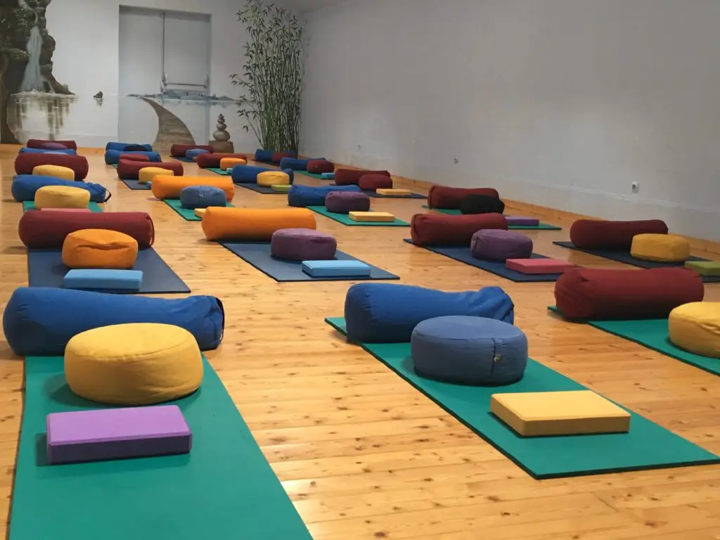 Academy Tourangelle De Yoga