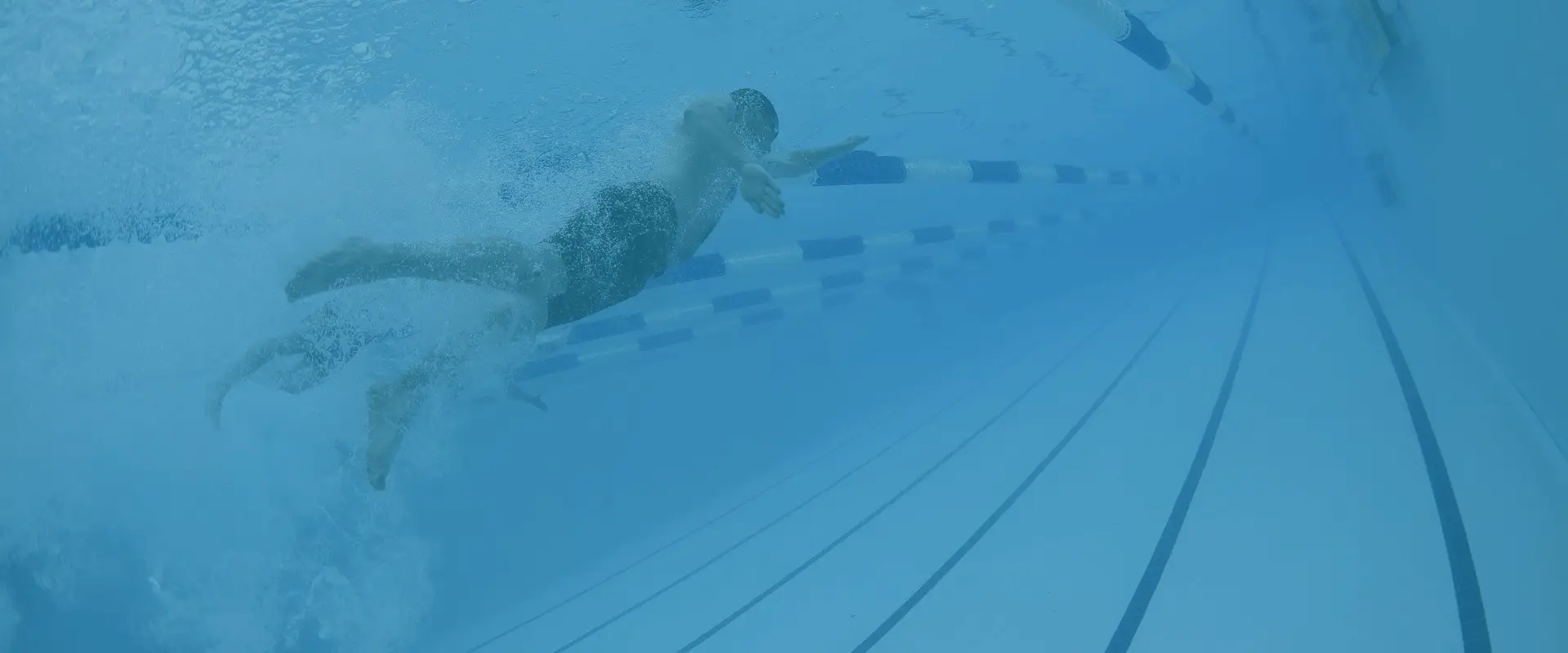 Waves Swim School