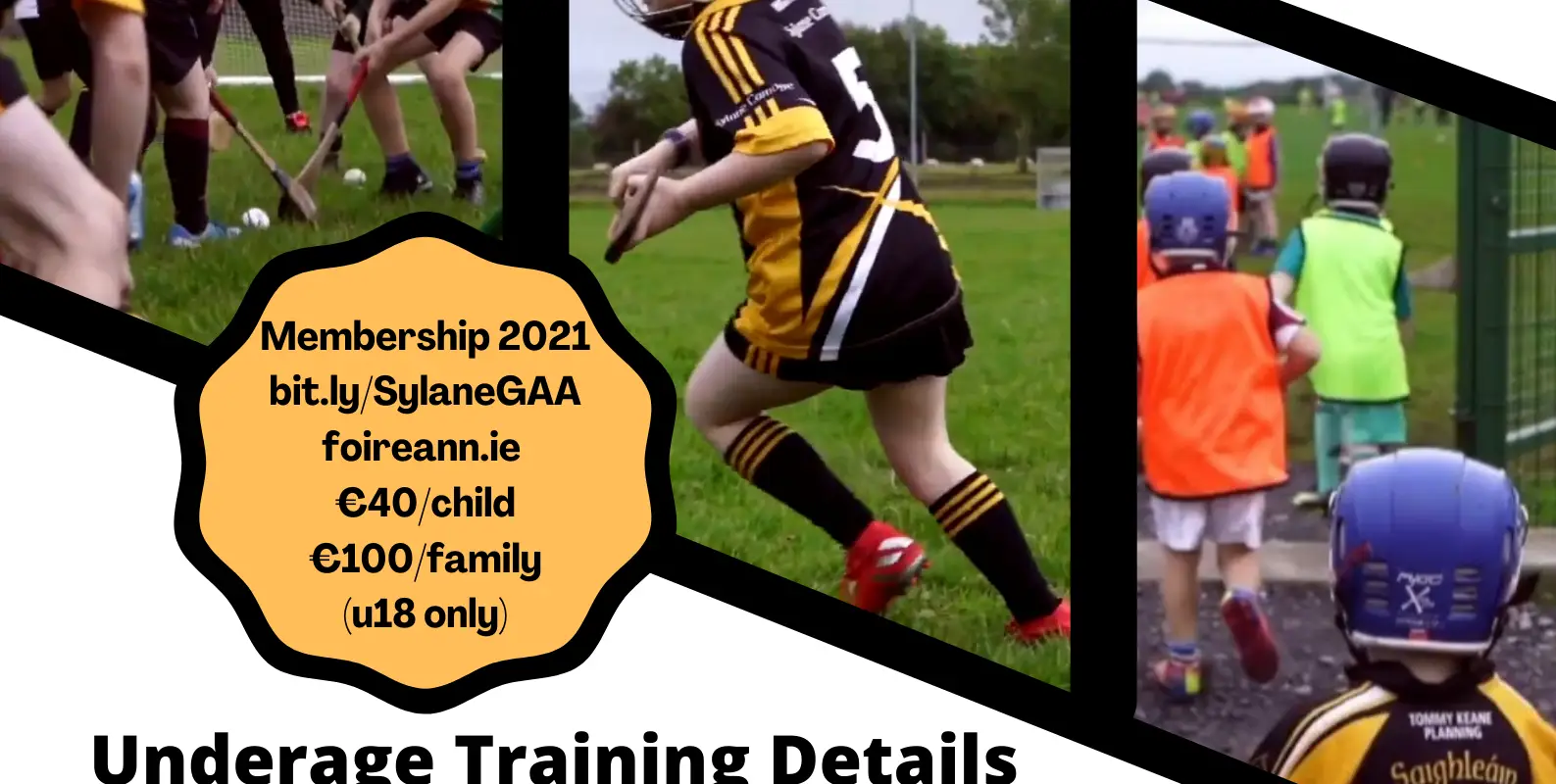 Sylane Hurling & Camogie Club