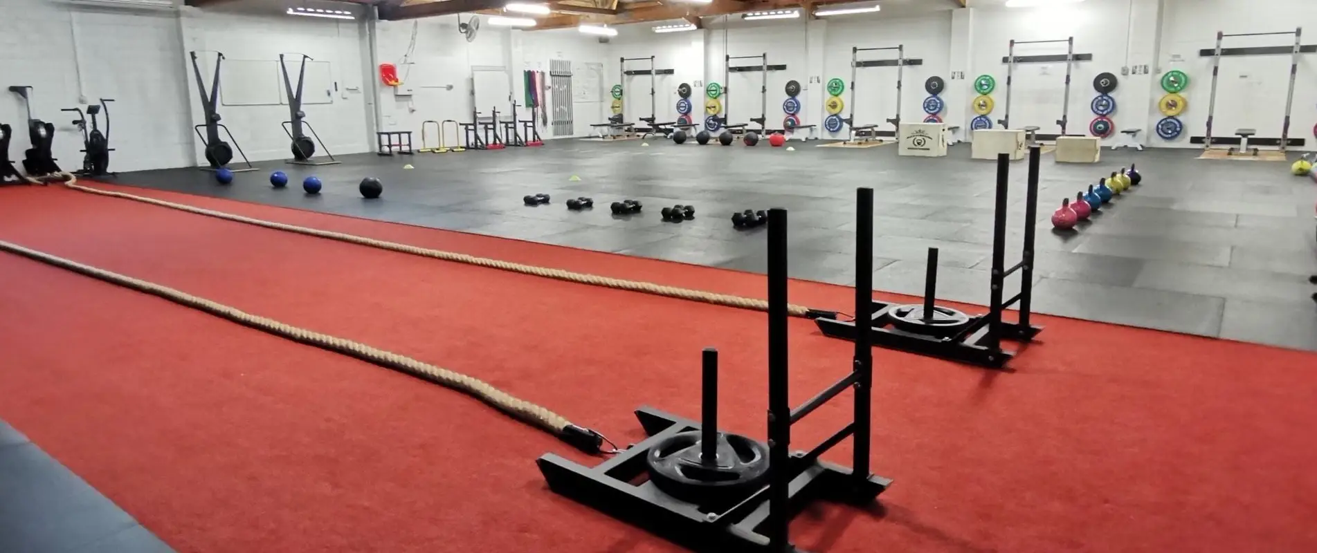 HCC - Hale Compound Conditioning