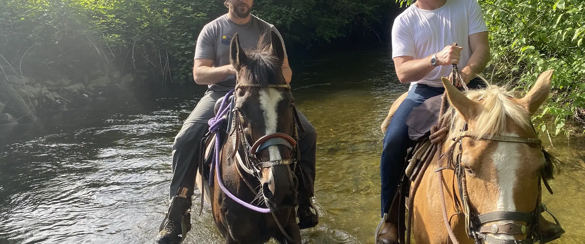 Leghorn Ranch Horseback Trail Rides
