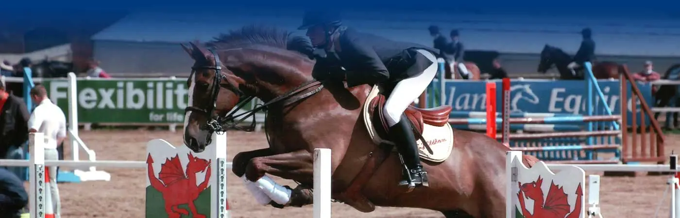 Higher Mainstone Equestrian