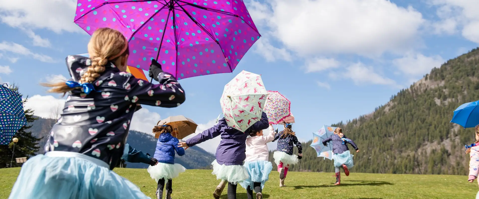 Dance Umbrella Studio