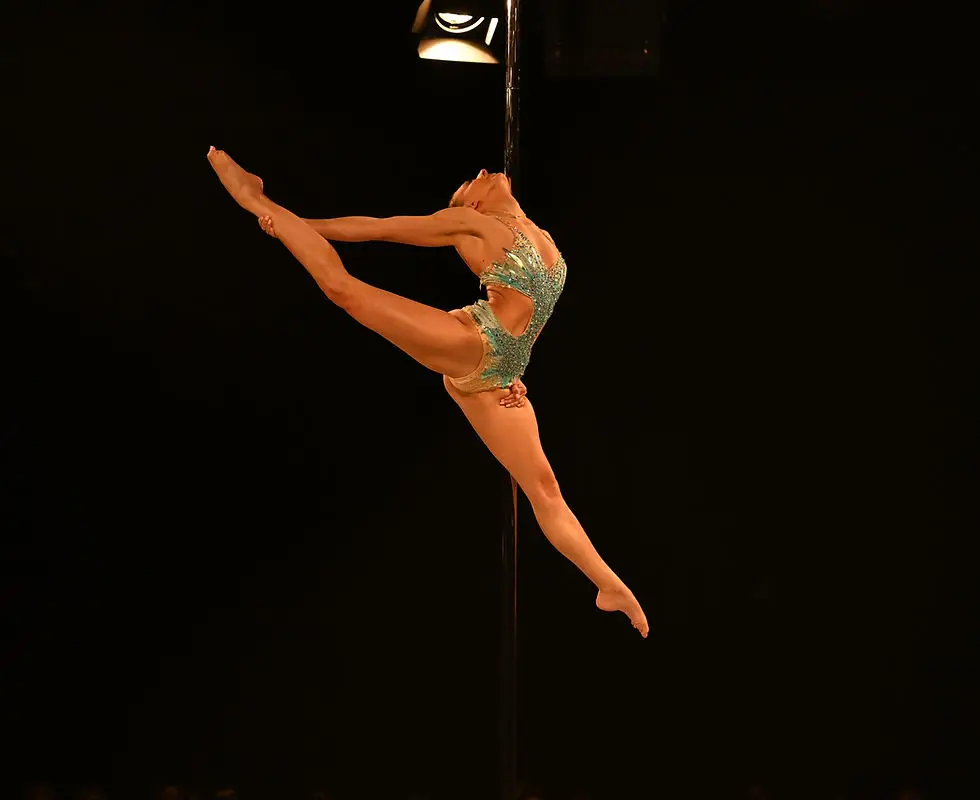 Gemini Studios Pole Dance Academy