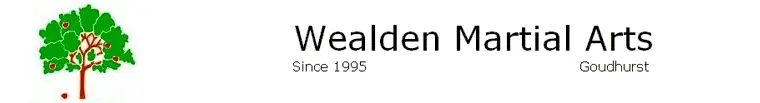 wealdenmartialarts