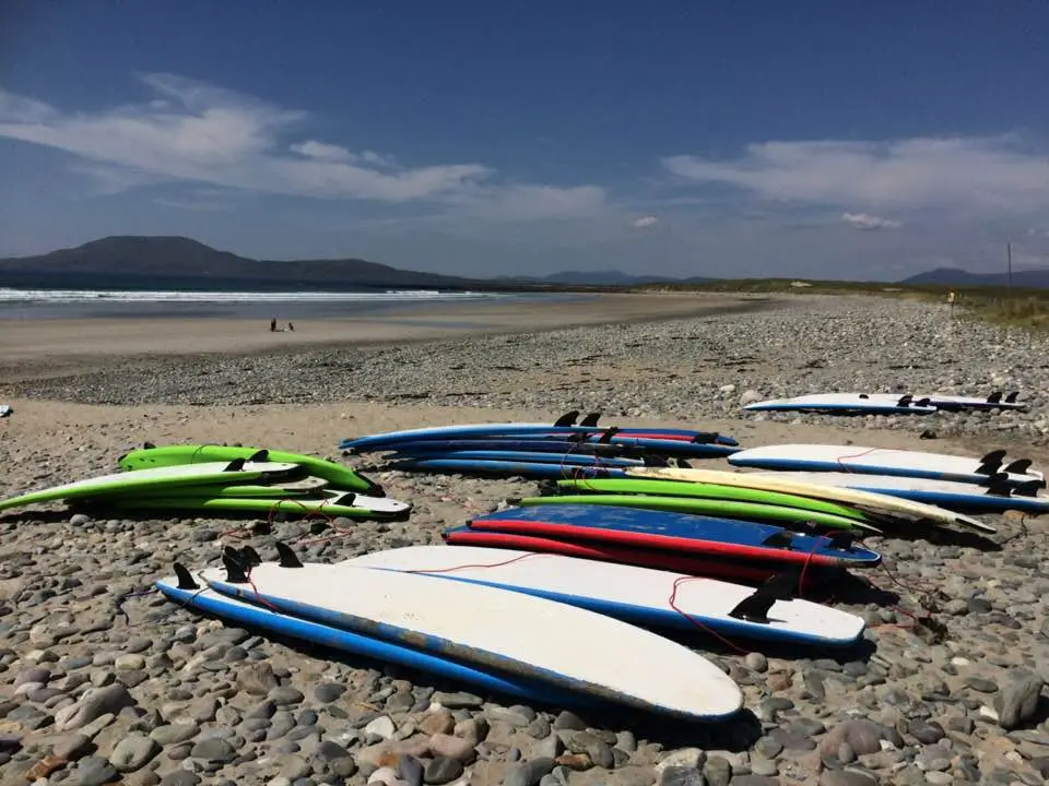 Surf Mayo