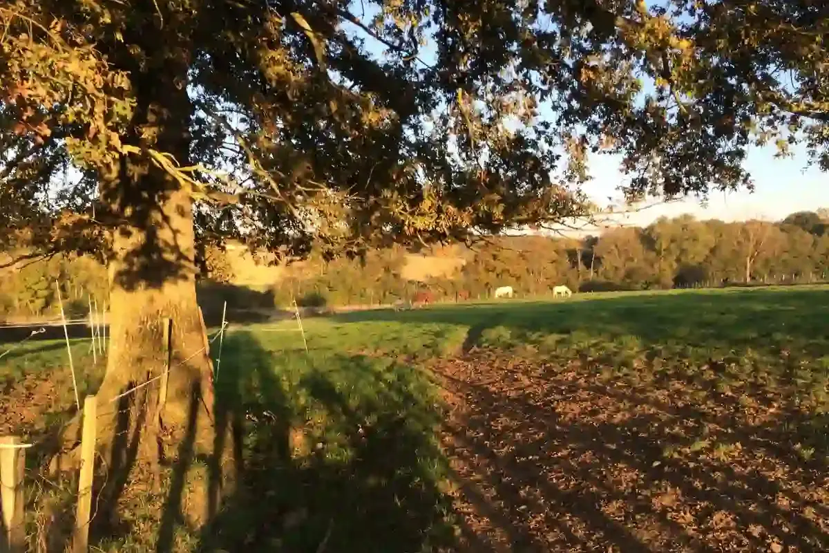 Centre Équestre Bresse-Cheval