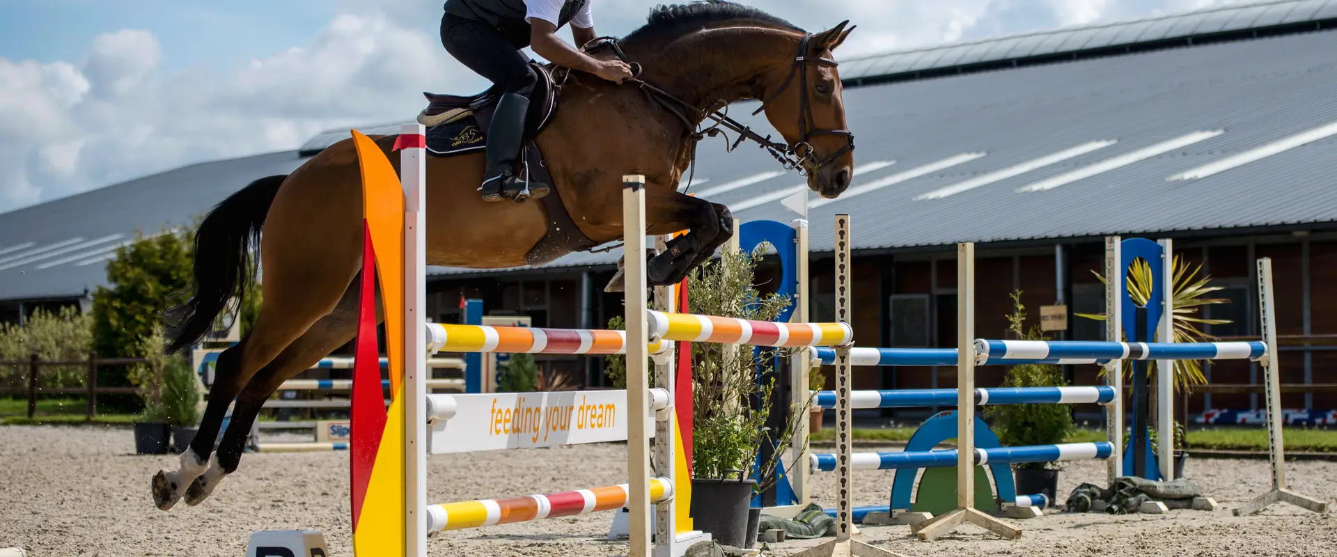 Covai Stables