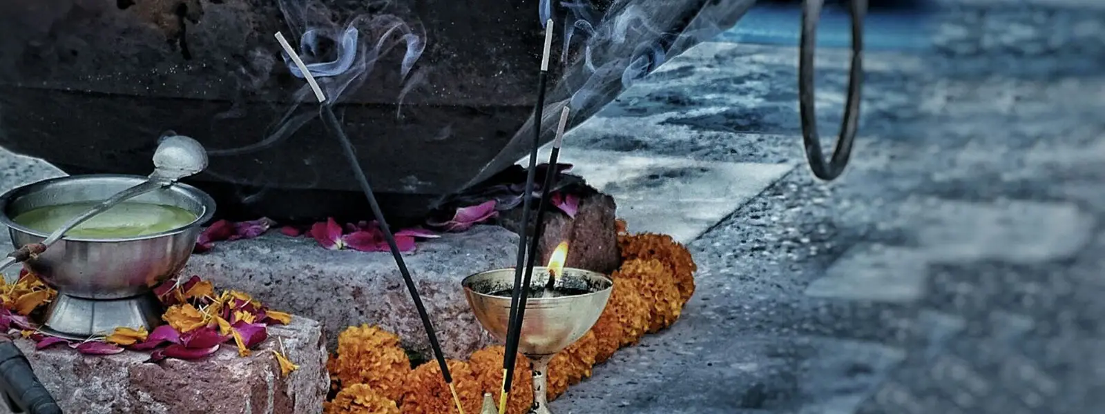 Vishnu Yoga Shala ( Yoga Teacher Training & Retreats )