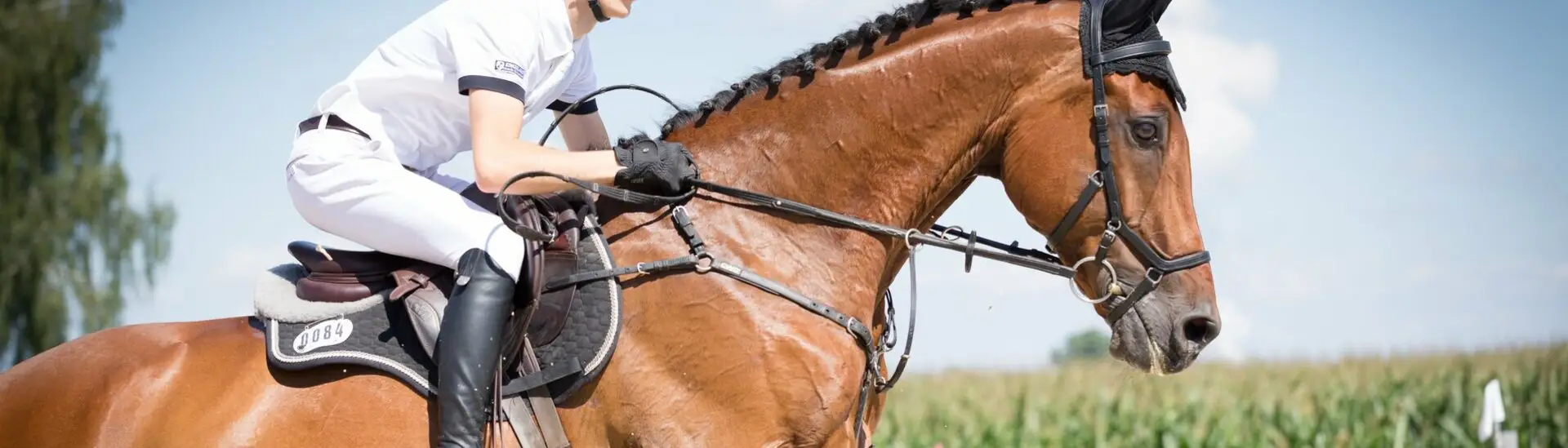 Ecole Départ. D'equitation Pony Club