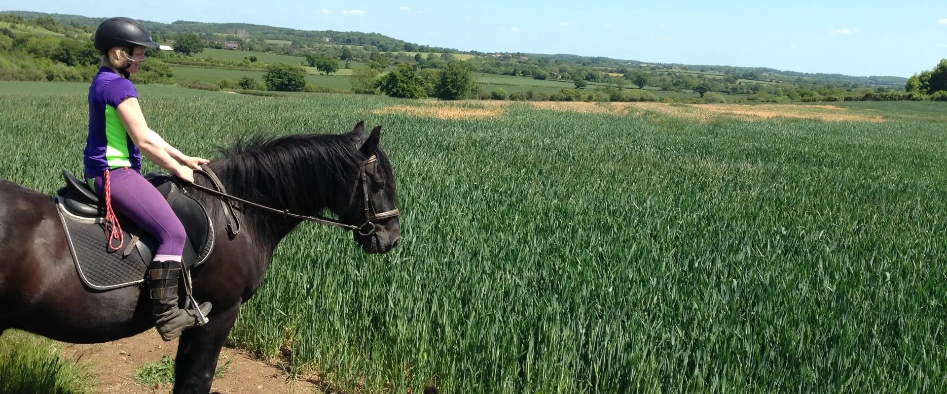 Equine Learning