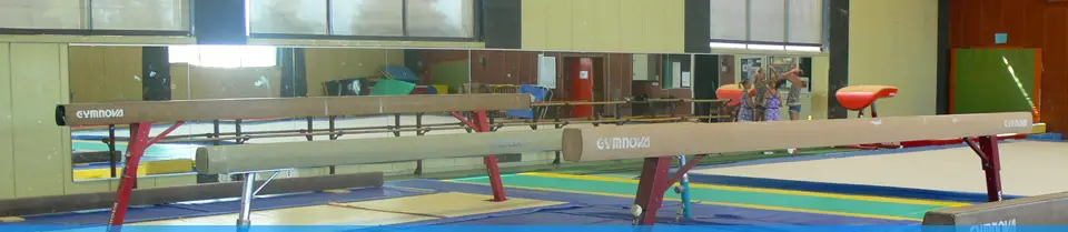 Avant Garde Mans Gymnastics And Dance Club