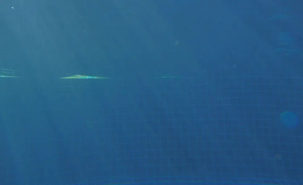 Western Sydney Aquatics