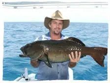 Reefari Pty Ltd