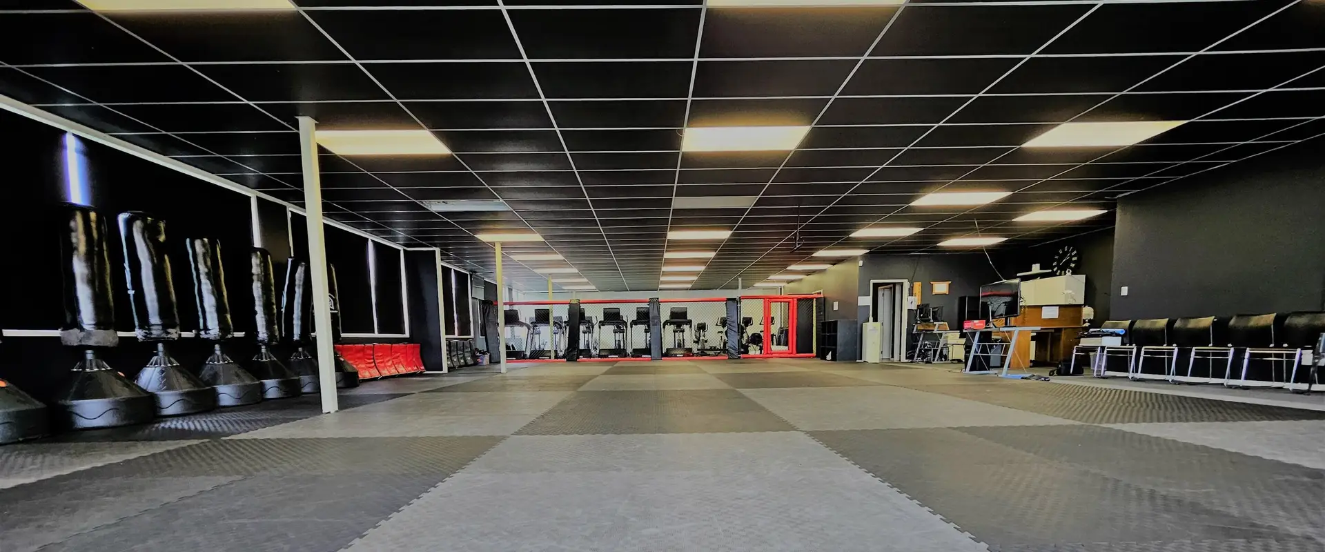 Martial Fitness