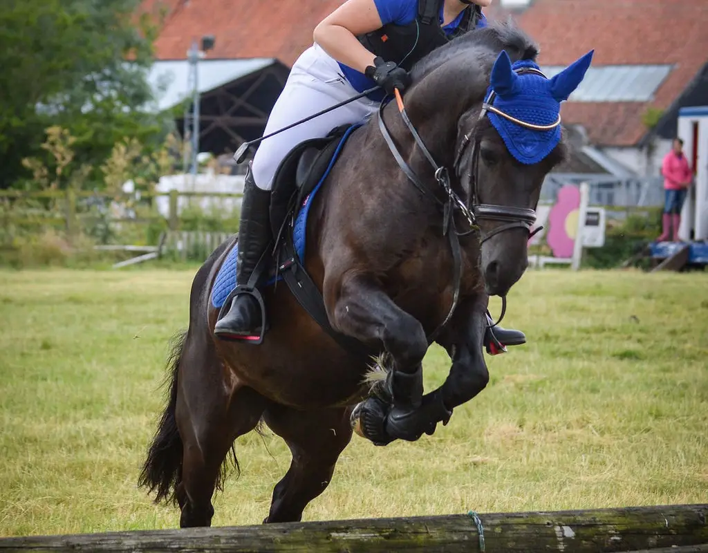 Woodredon Equestrian Centre