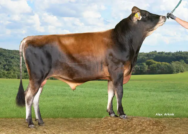 Gen France