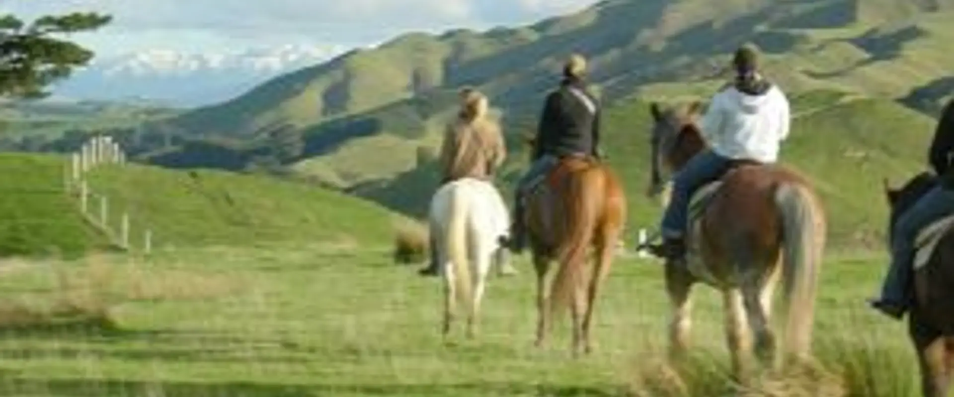 Timeless Horse Treks