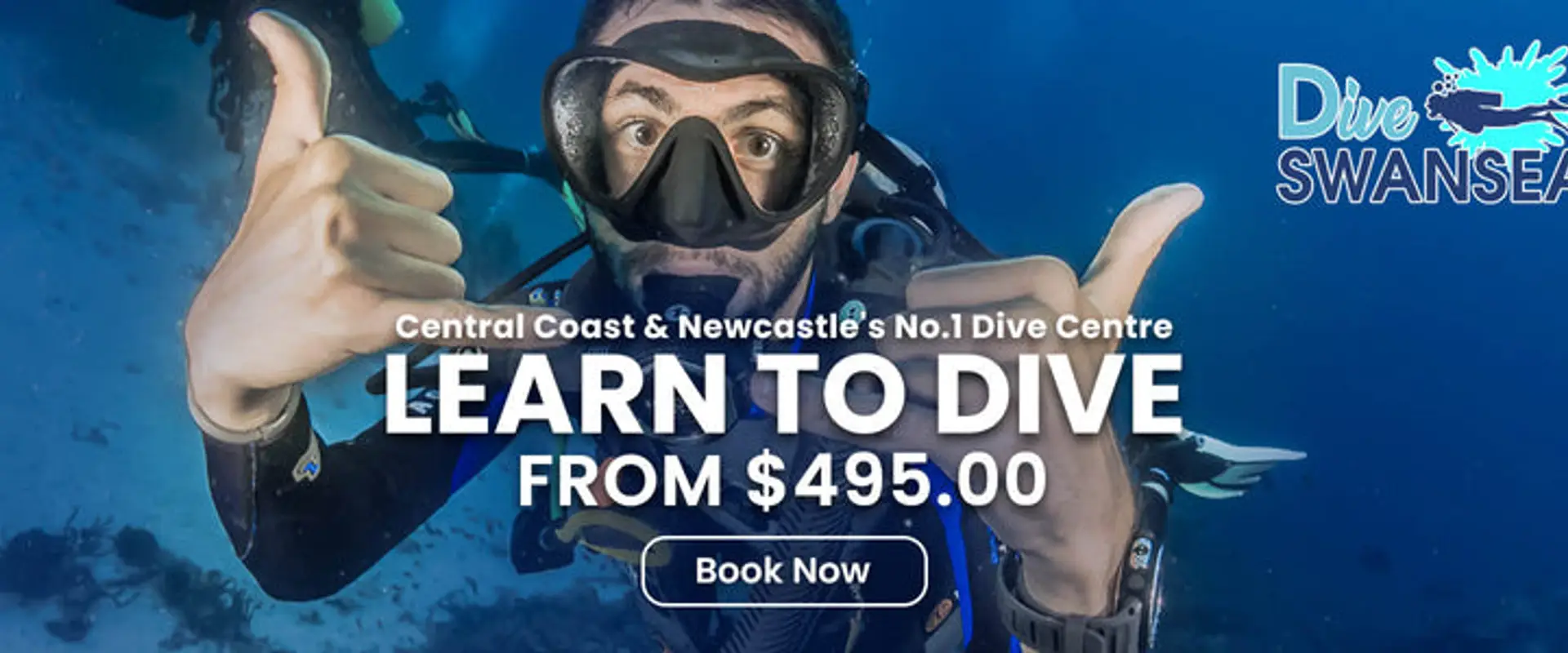 Dive Swansea Newcastle