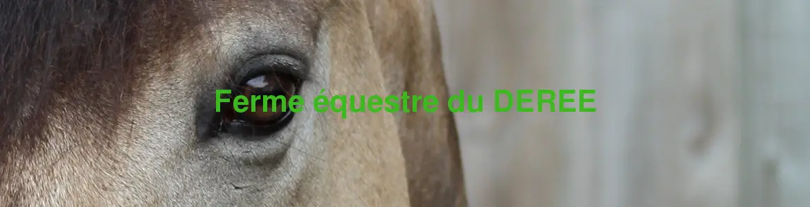 Ferme Equestre Du Derre