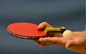 A.S. GÉVEZÉ TENNIS DE TABLE
