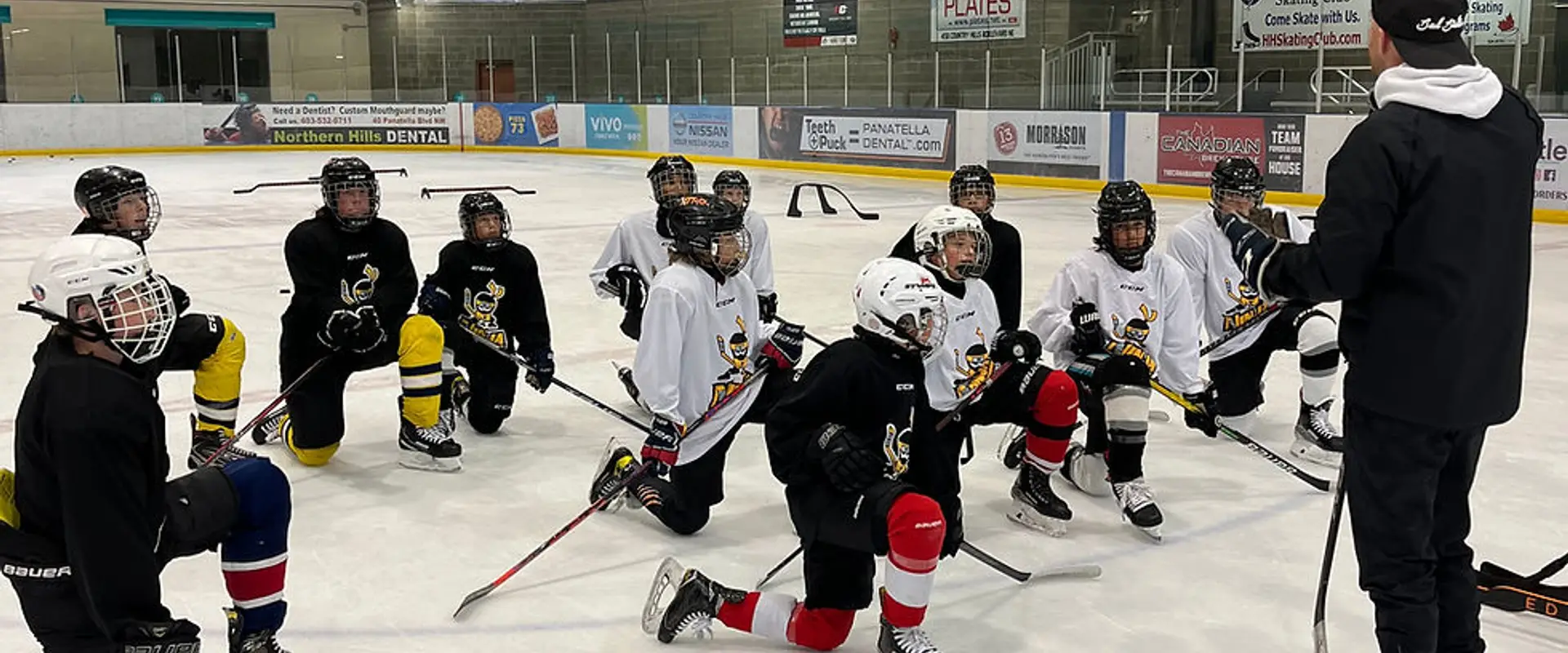 Ninja Hockey