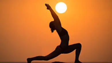 Nidan Yog
