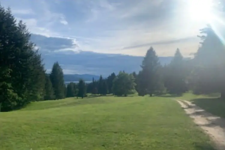 North Shuswap Golf Club