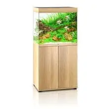 Aqua Fish