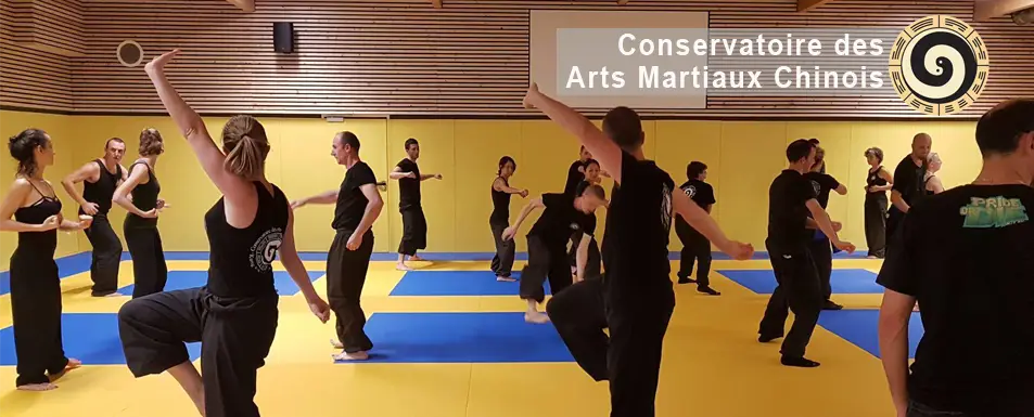 Conservatory Art Martiaux Chinois