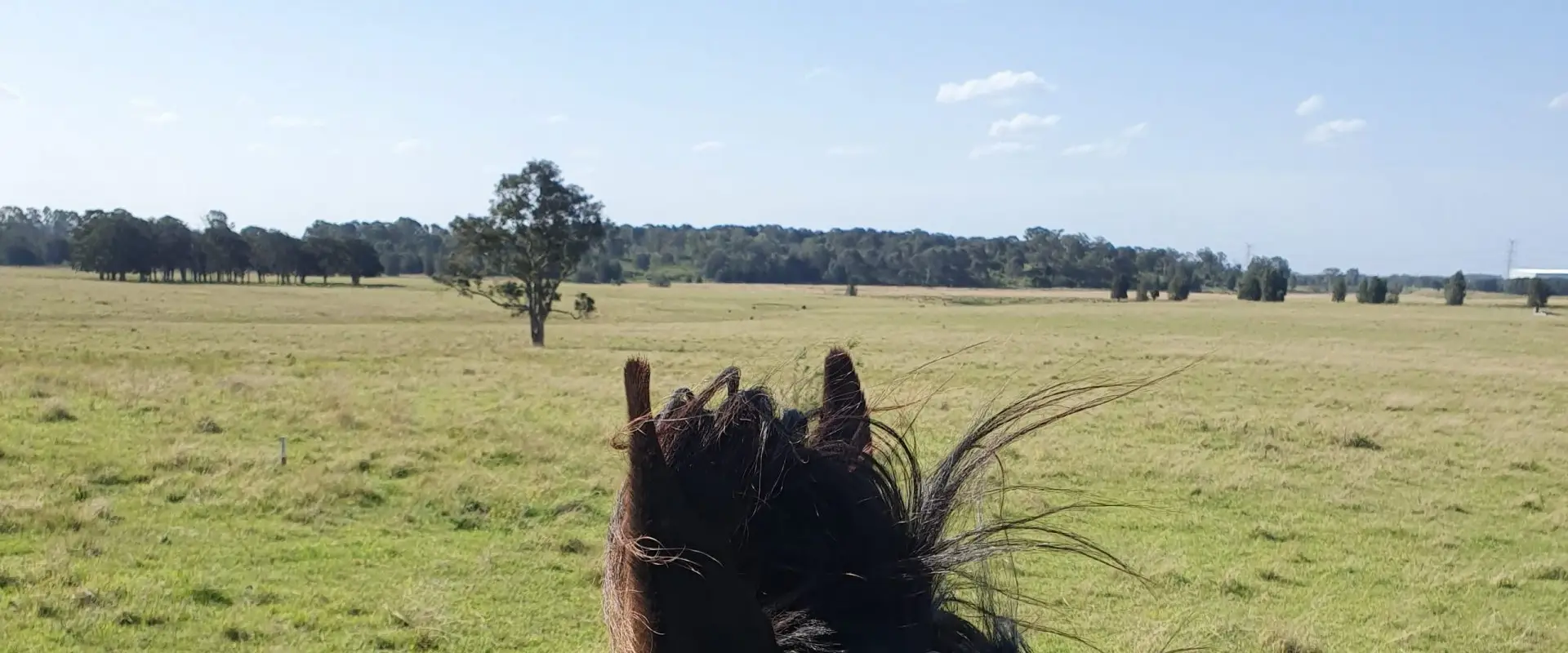 C.H. Horsemanship