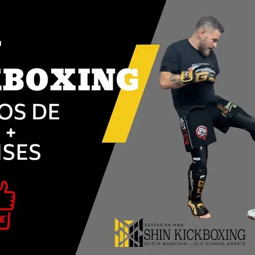 Barbare Mma